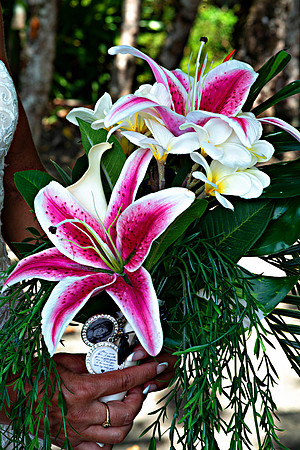 Bill Mortley Photography_Crystal & Terry Hickson Wedding Formals_April 15th, 2015 BMP 6756