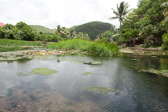 Bill Mortley-St. Lucia_04262010-8660