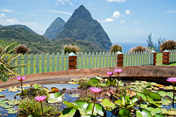 Bill Mortley Photography - Our St Lucia Magazine - APRIL 3 rd_BMP-2325