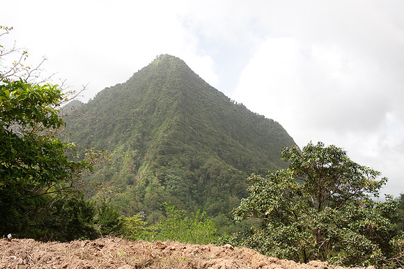 BillMortley_04282010_St. Lucia_  BMP-8755