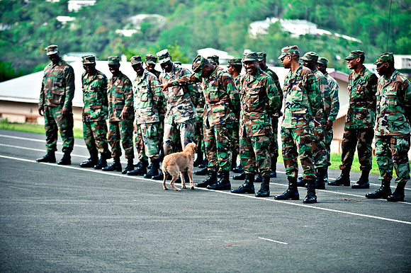 Bill Mortley _St. Lucia -  April 15th, 2011_BMP-7504