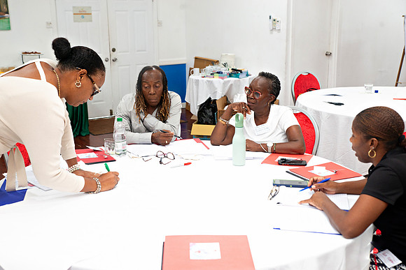 Bill Mortley Photography_FSSP Caribbean- Proposal Writing_April 25th, 2024_BMP-9135