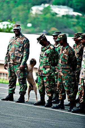 Bill Mortley _St. Lucia -  April 15th, 2011_BMP-7514