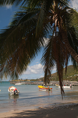 Bill Mortley _Feb202011_St. Lucia_BMP-0033