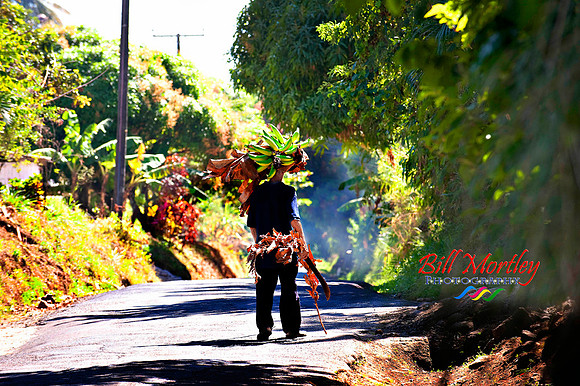 old_man_in_the_country