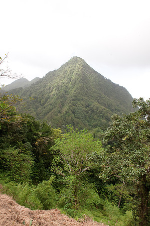 BillMortley_04282010_St. Lucia_  BMP-8757
