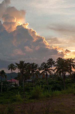 Bill Mortley_St. Lucia - September 18th, 2012_-7172