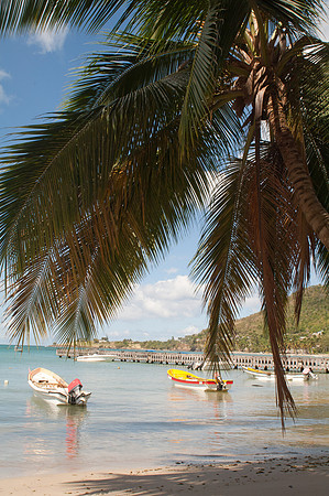 Bill Mortley _Feb212011_St. Lucia_BMP-0034