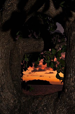 Bill Mortley_St. Lucia - September 1st, 2012_BMP-5270
