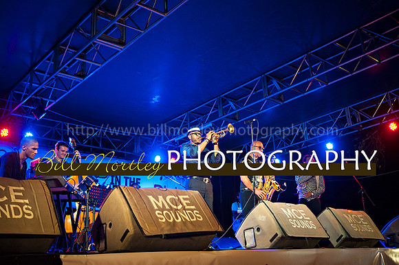 Bill Mortley_Jazz in the South_May 4th, 2014-8675