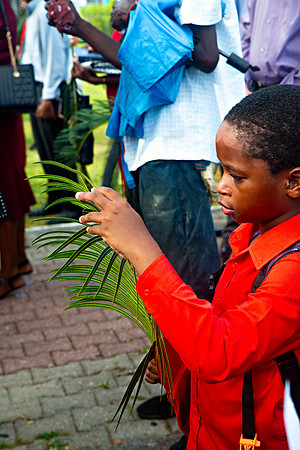 Bill Mortley Photography_Palm Sunday Service & Procession 2025_April,13th 2025_BMP--9345