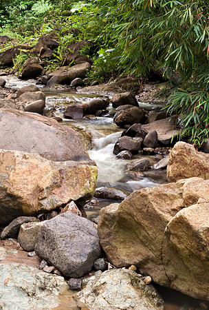 Bill Mortley_ St. Lucia _ October 26th, 2012-1079