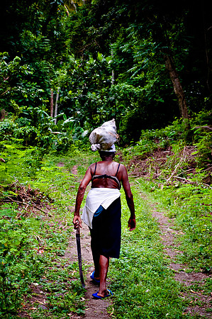 Bill Mortley_St. Lucia - September 20th, 2012-3795