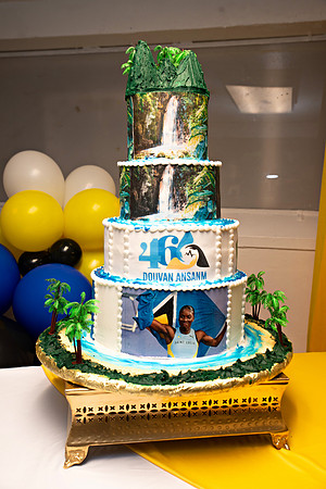 Bill Mortley Photography_ St. Lucia's 46th Independence Celebrations - New York_Februry 23rd. 2025_BMP.8091