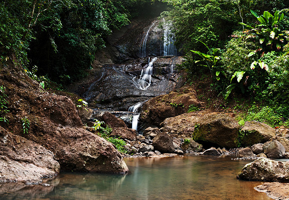 Bill Mortley_St. Lucia - September 17th, 2012-7100