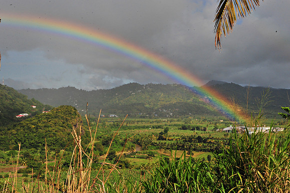 Bill Mortley_St. Lucia - July 12th, 2012_BMP-8452