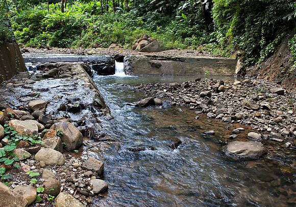 Bill Mortley_ St. Lucia _ October 26th, 2012-1077