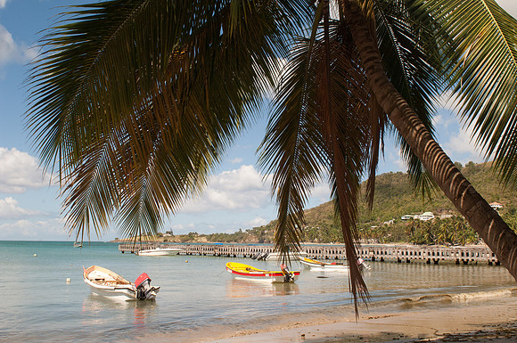 Bill Mortley _Feb212011_St. Lucia_BMP-0036