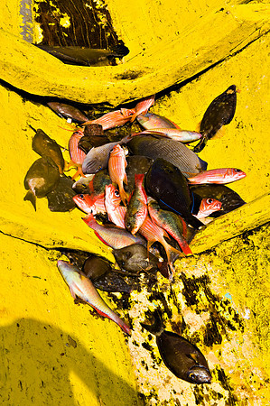 Bill Mortley_St. Lucia - September 20th, 2012-3736