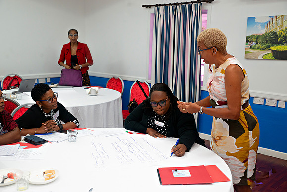 Bill Mortley Photography_FSSP Caribbean- Proposal Writing_April 25th, 2024_BMP-9139