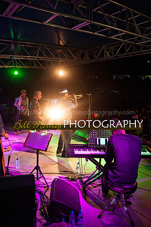 Bill Mortley_Jazz in the South_May 4th, 2014-8684