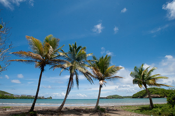 BillMortley_04222010_St. Lucia_  BMP-8640
