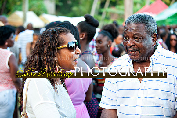 Bill Mortley_Jazz in the South_May 4th, 2014-8479