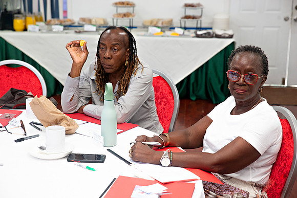 Bill Mortley Photography_FSSP Caribbean- Proposal Writing_April 25th, 2024_BMP-8946