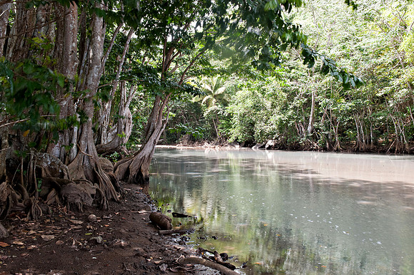 Bill Mortley_St. Lucia - August 10th, 2012_BMP--31