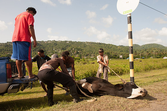Bill Mortley_St. Lucia - June 29th, 2012_BMP-9523