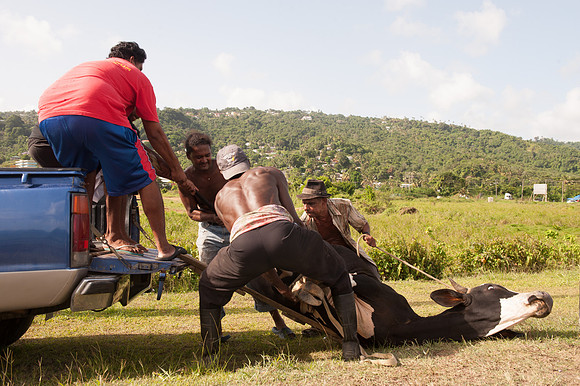 Bill Mortley_St. Lucia - June 29th, 2012_BMP-9526