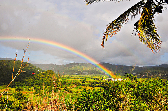 Bill Mortley_St. Lucia - July 12th, 2012_BMP-8451