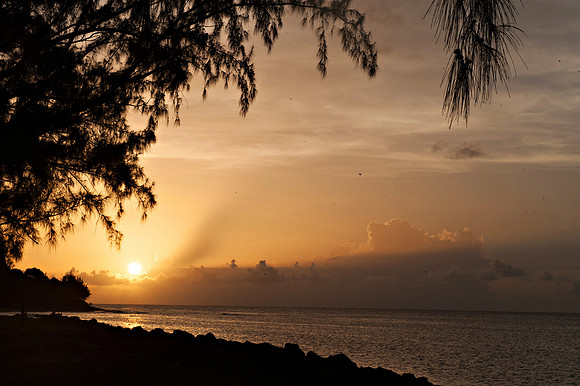 Bill Mortley_St. Lucia - July 12th, 2012_BMP-0528