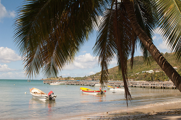 Bill Mortley _Feb212011_St. Lucia_BMP-0037