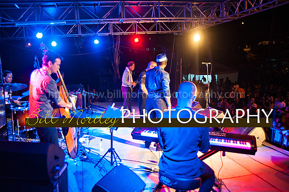 Bill Mortley_Jazz in the South_May 4th, 2014-8676