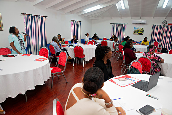 Bill Mortley Photography_FSSP Caribbean- Proposal Writing_April 25th, 2024_BMP-8968