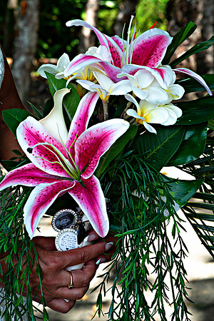 Bill Mortley Photography_Crystal & Terry Parent Wedding Formals_April 15th, 2015 BMP 6619