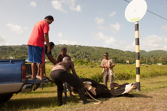 Bill Mortley_St. Lucia - June 29th, 2012_BMP-9525