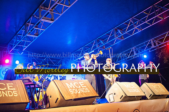Bill Mortley_Jazz in the South_May 4th, 2014-8670