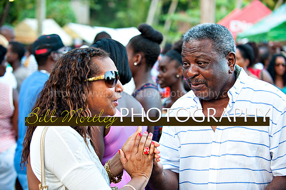 Bill Mortley_Jazz in the South_May 4th, 2014-8477