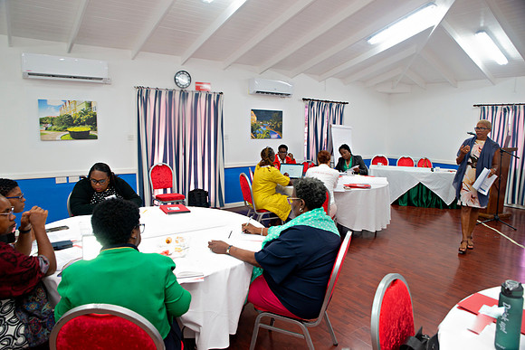 Bill Mortley Photography_FSSP Caribbean- Proposal Writing_April 25th, 2024_BMP-9083