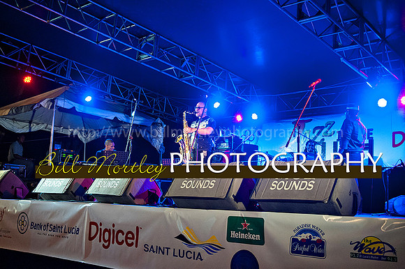 Bill Mortley_Jazz in the South_May 4th, 2014-8699