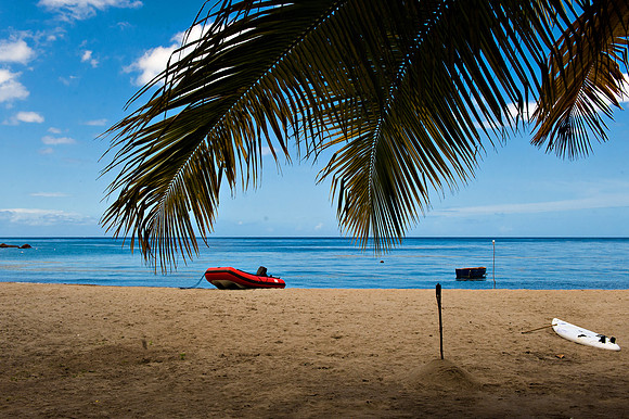 Bill Mortley_St. Lucia - September 20th, 2012-3707
