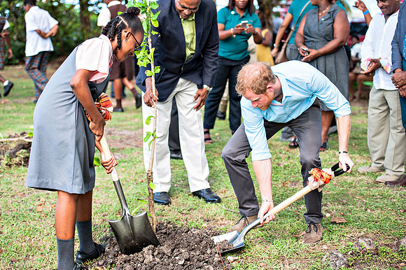 Bill Mortley_Prince Harry's Visit_25.11.2016-2044