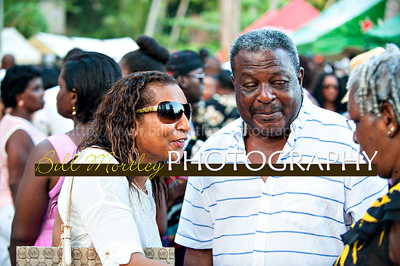 Bill Mortley_Jazz in the South_May 4th, 2014-8481