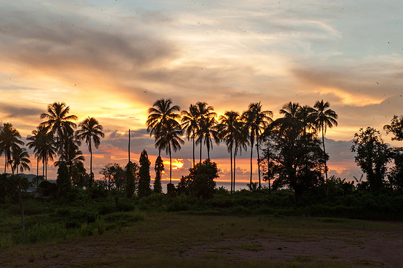 Bill Mortley_St. Lucia - September 18th, 2012_-7178