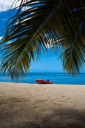 Bill Mortley_St. Lucia - September 20th, 2012-3715