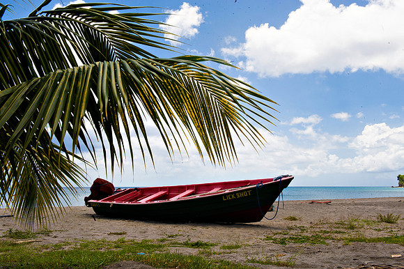 Bill Mortley_St. Lucia - September 20th, 2012-3823
