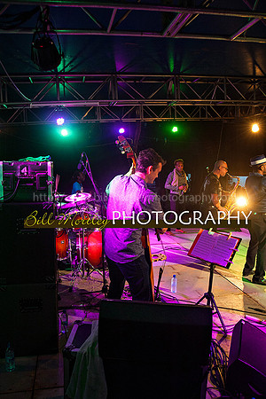 Bill Mortley_Jazz in the South_May 4th, 2014-8683
