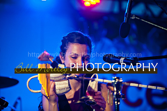 Bill Mortley_Jazz in the South_May 4th, 2014-8634